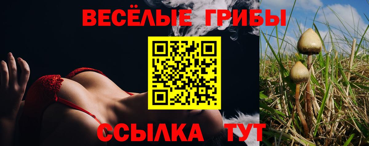 Краснодар  Псилоцибиновые грибы Cubensis  наркотики  Вход с VPN 